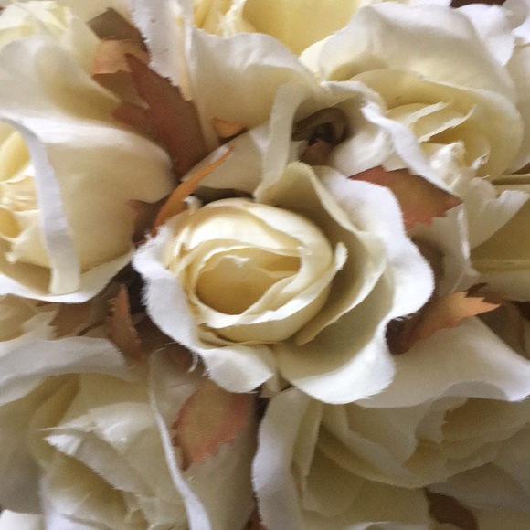 Meet your Posher, Laura - Picture 1 of 1